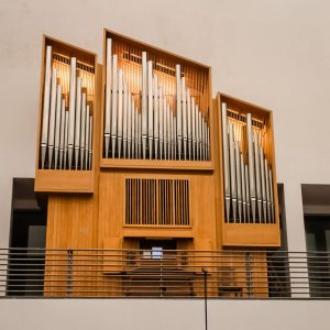 orgao_tubos5